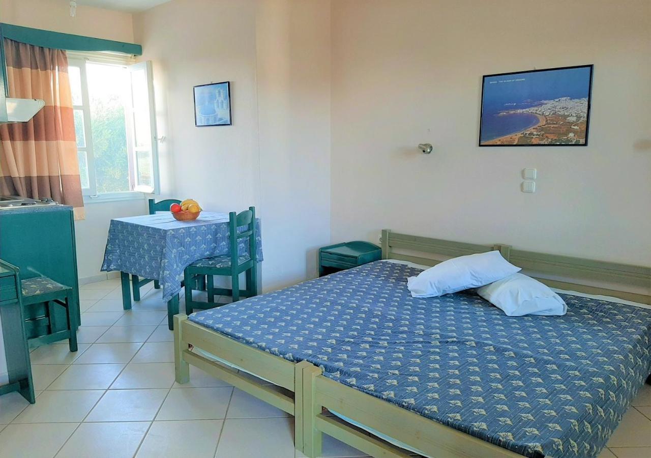Apartment Joanna's On The Plaka (Naxos)